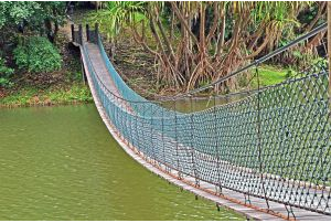 Bridge: project managers are a bridge between clients and developers