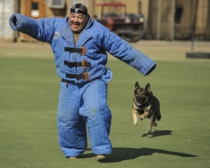 attack dog training - bulletproof forms