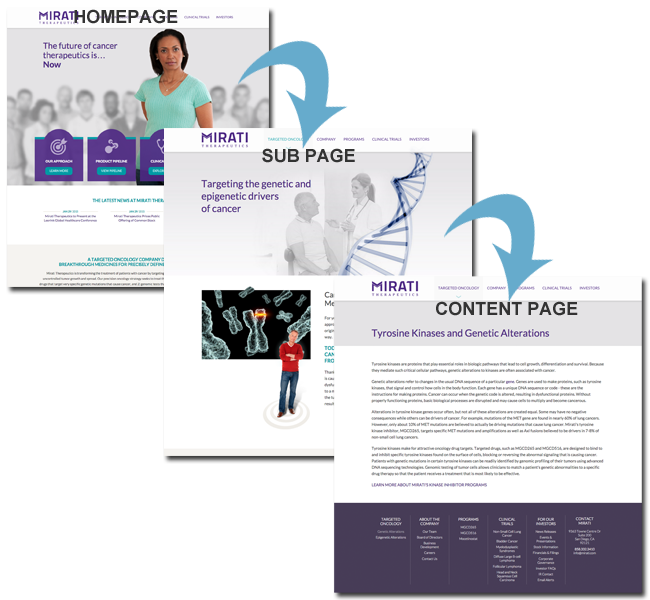 homepage, subpage, and content page designs