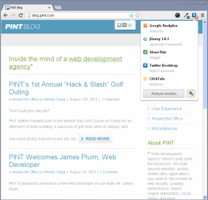 WordPress not detected on PINT, Inc. blog