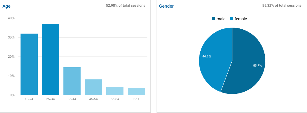 Screenshot of Google Analytics demographic information