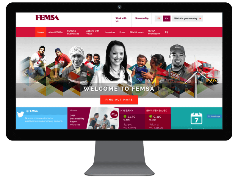 Screenshot of the FEMSA site on a desktop computer.
