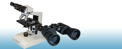 microscope and binoculars for high and low level website insights